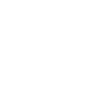 global2-vit